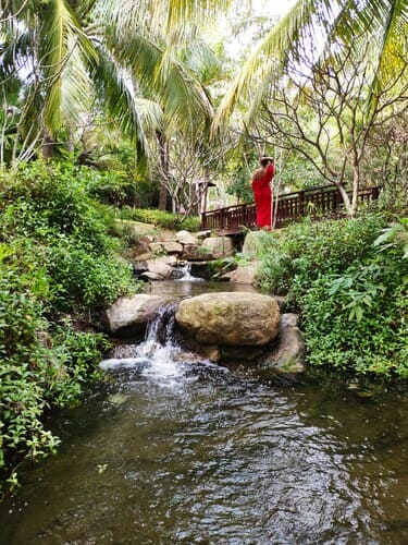 hainan tropical rainforest spa